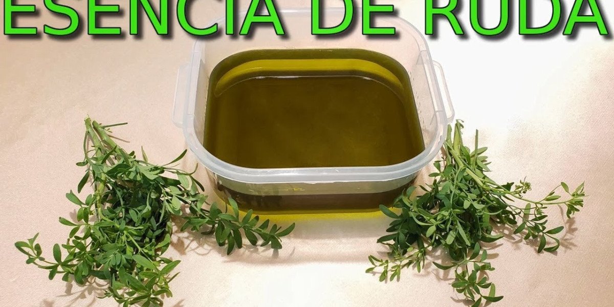 Ruda propiedades y beneficios para la salud de esta planta