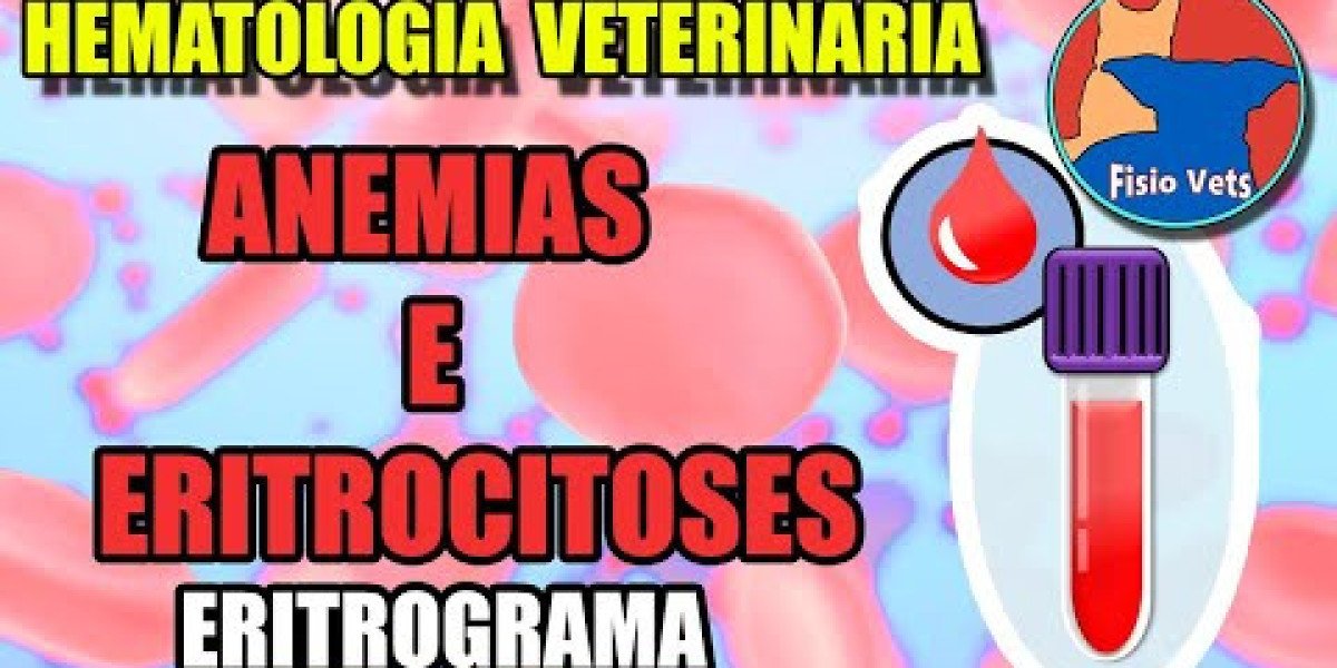 São Essenciais para a Saúde do Seu Cachorro: As Vacinas Anuais que Você Precisa Conhecer!