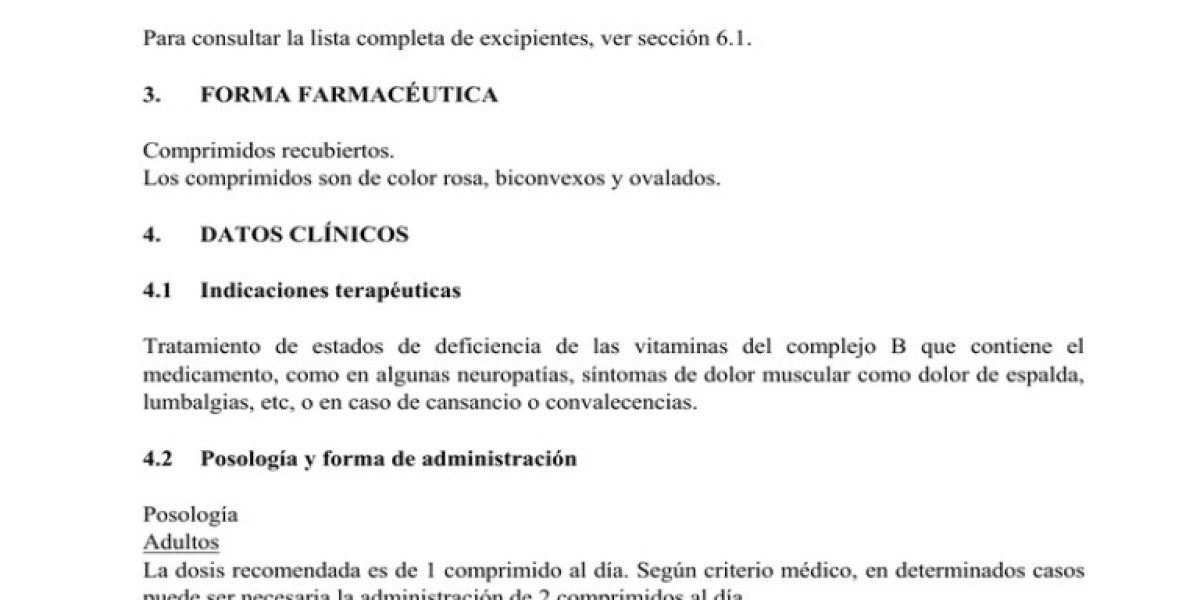 Cómo Sembrar Ruda En Tu Huerto: Guía Completa + Paso A Paso