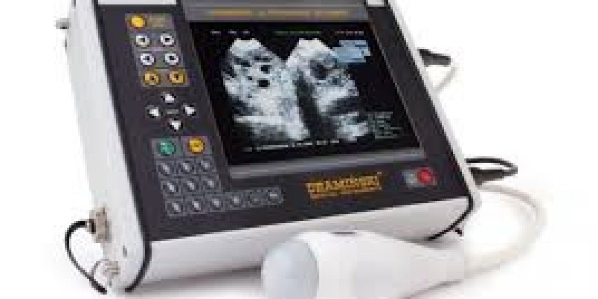 Europe Ultrasound Devices Market Analysis Size And Forecast Report 2024-2032