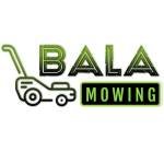 Bala mowing Profile Picture