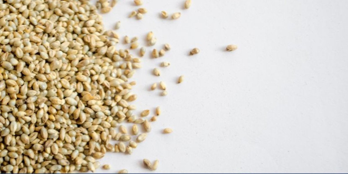 Millet Seeds Market: A Comprehensive Analysis of Trends, Opportunities, and Challenges | 2025-2034