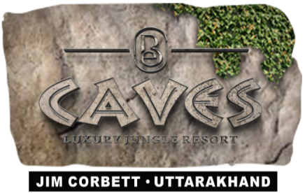 BEST INDOOR & OUTDOOR ACTIVITIES - Brys-Caves-The Jungle Resort