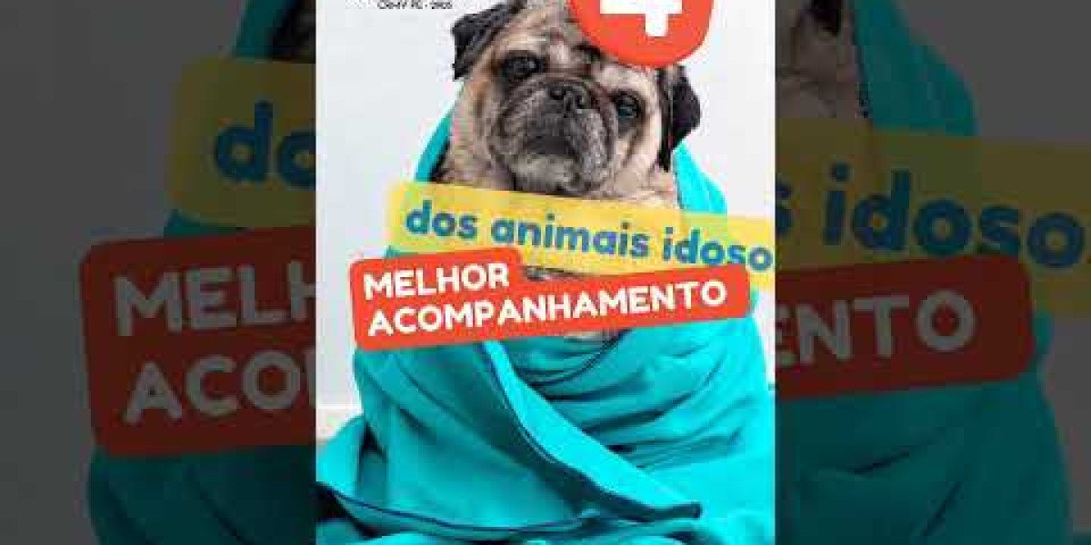 Entendendo a Importância do Antibiograma Veterinário na Saúde Animal