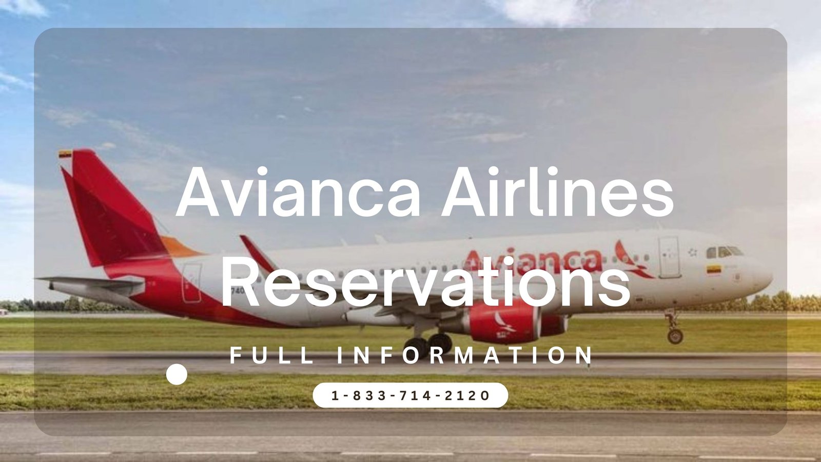 Avianca Airlines Reservations Made Easy with Flightaura