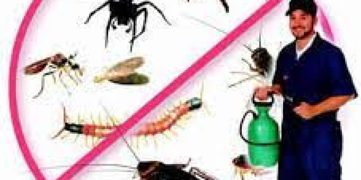 Pest Control in Mooloolah Valley: Keep Your Home Safe from Pests