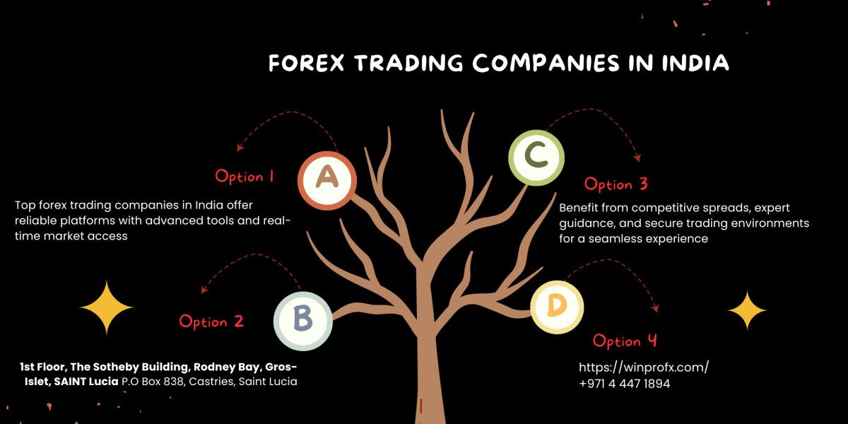 What are Forex trading companies, and how do they operate in India?