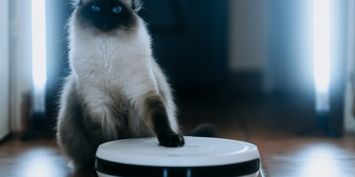 You'll Never Guess This Robot Vacuum Cleaner Cheap's Tricks