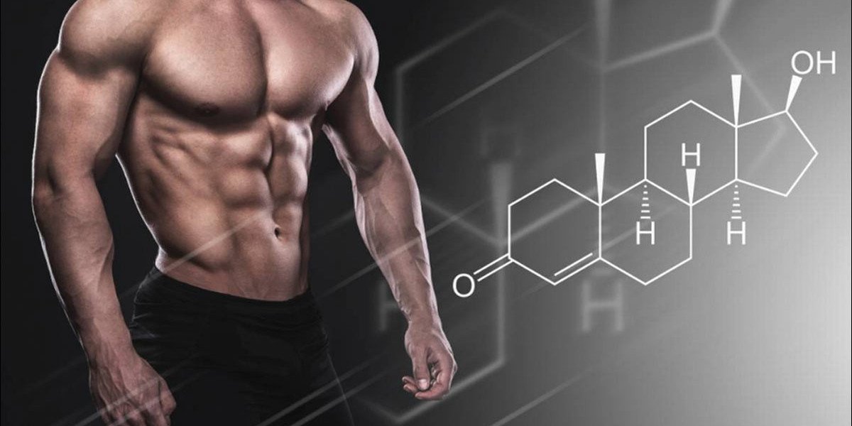 Buy Steroids Online USA: A Complete Guide to Safe and Effective Purchases