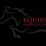 Equine Online Auction Profile Picture