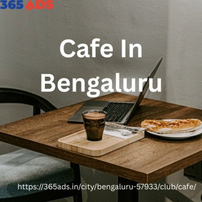 Free Cafe  Profile Picture