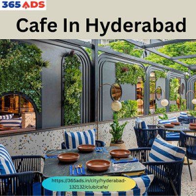 Free Cafe  Profile Picture