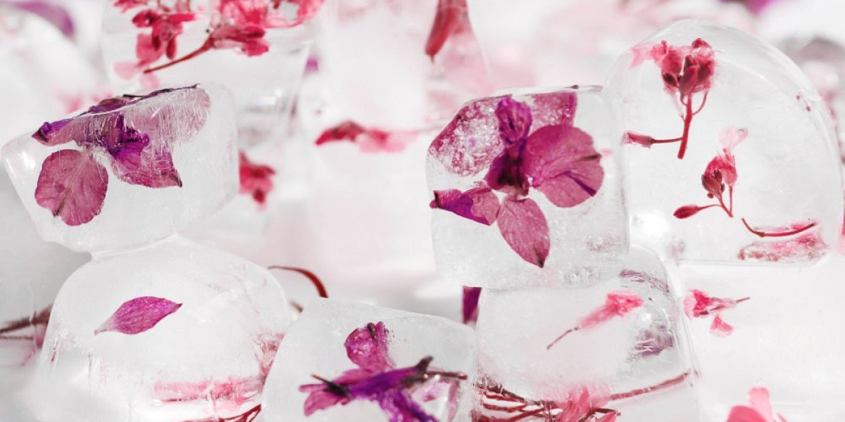 The Global Demand for Ice: Trends and Future Projections