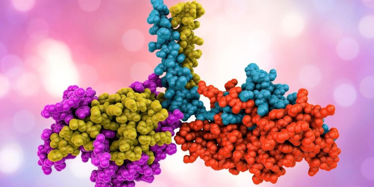 Antibody Yield Differences: Magnetic Beads vs. G Columns