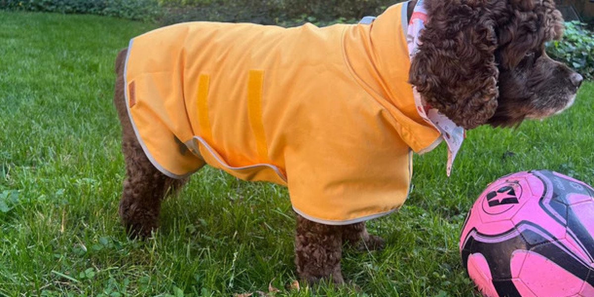 The Ultimate Paw Protector: Keep Mud at Bay with a Clean Paws Drying Towel