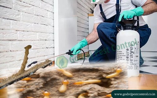 Pest Control Gurgaon | Pest Control Faridabad
