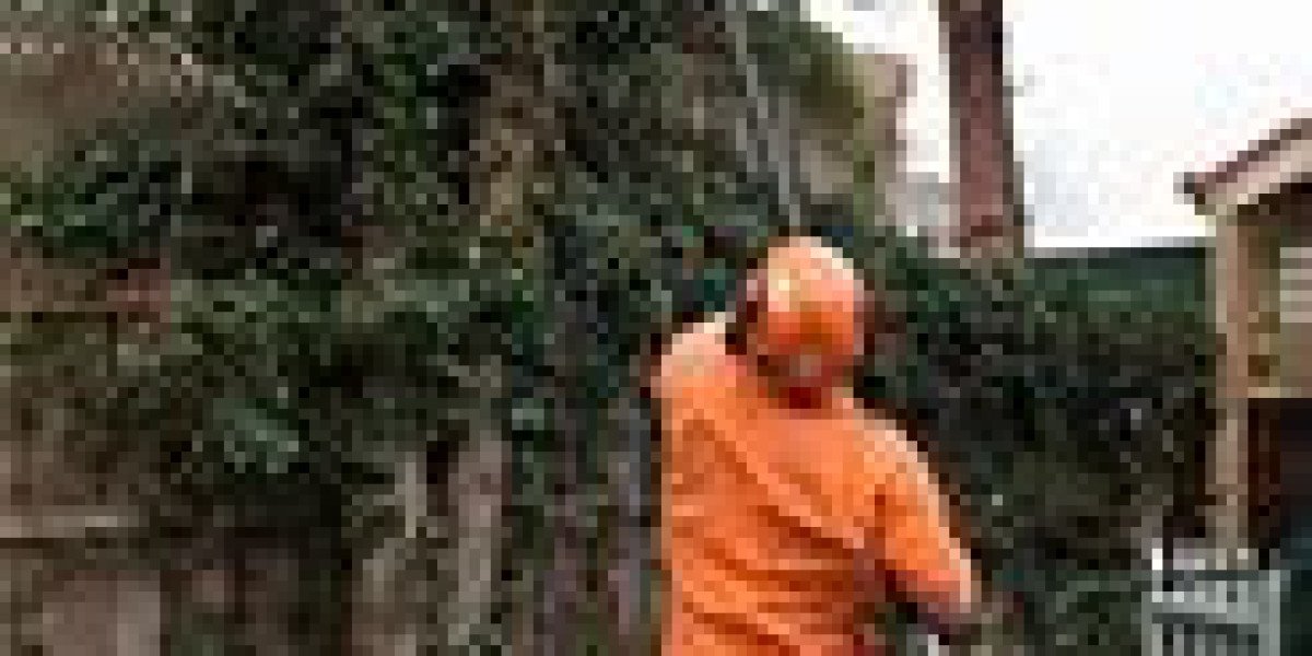 Homeowners Guide: What Is an Arborist and When to Call for Emergency Tree Service