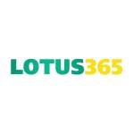 LOTUS365 ind Profile Picture