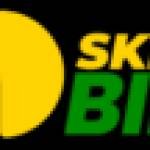 Skippy Bins Affordable Skip Bin Hire Brisban Profile Picture