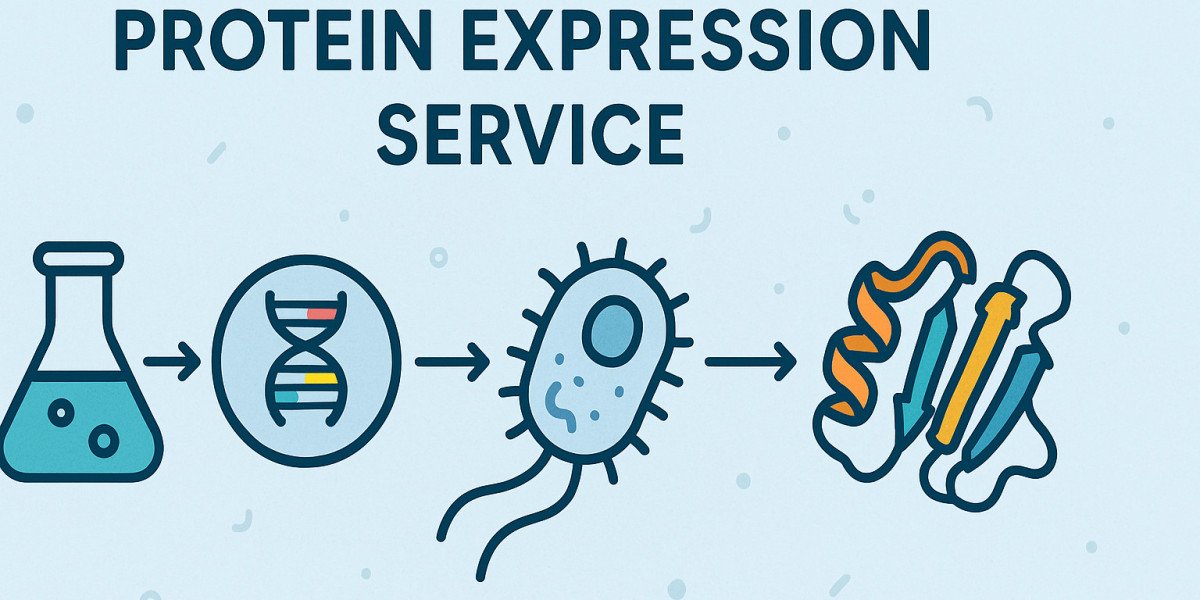 How to Select a Recombinant Protein Expression Service That Delivers Results