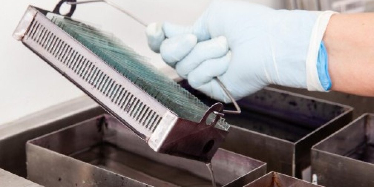 Enhancing Seed Quality and Operational Efficiency with Inline Cleaning and the Seed Box Washer
