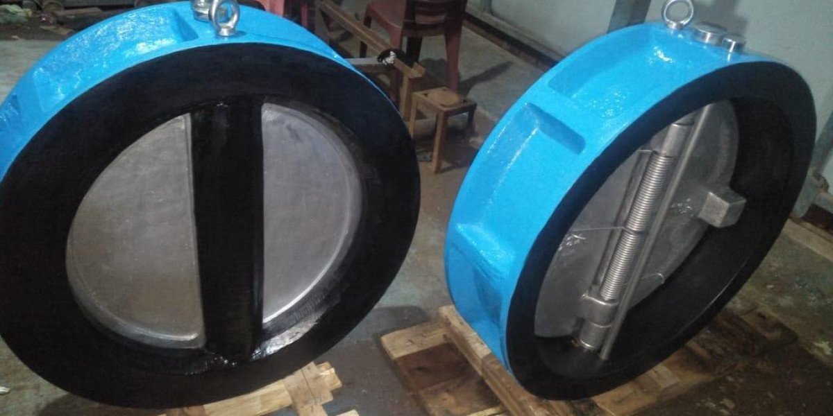 Dual plate check valve supplier in Dubai