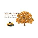 Brazos Valley Stump Grinding and Tree Service Profile Picture