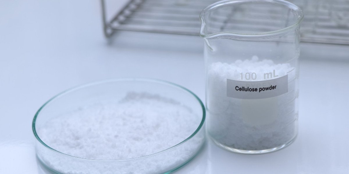 United States Cellulose Acetate Market Growth Report 2034