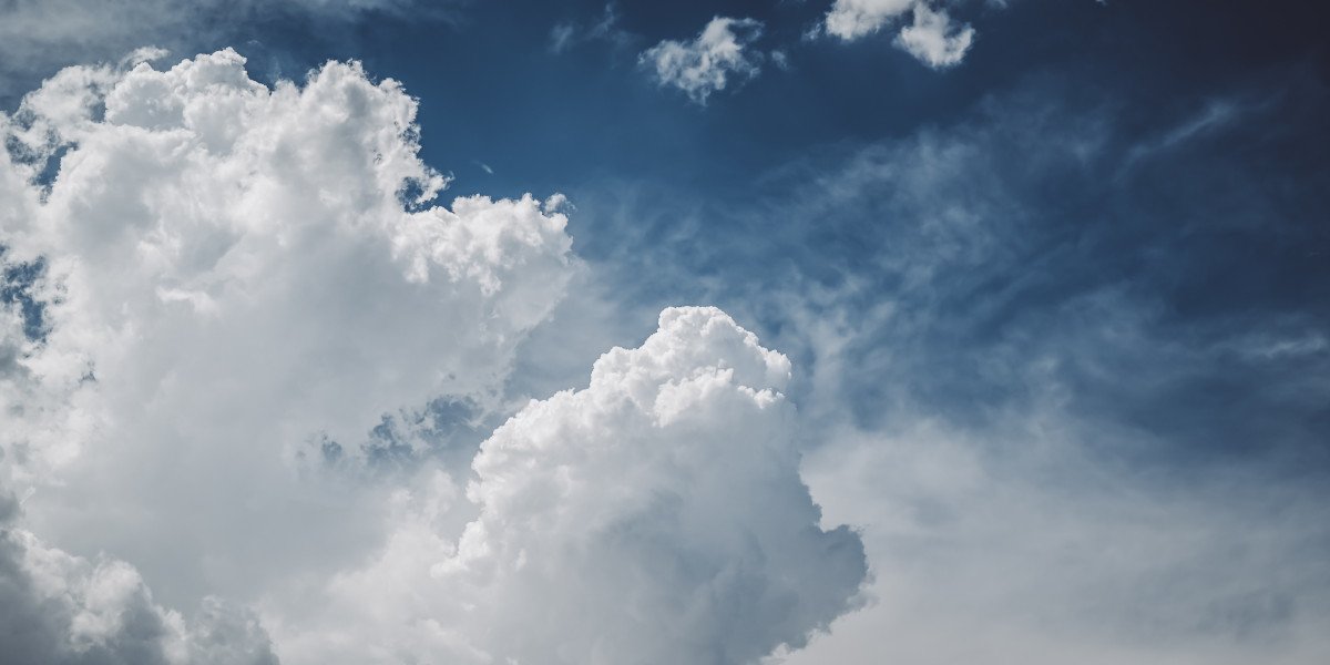 Unlock Ultimate Comfort: Discover the Best Trackball Mouse Options and Their Hidden Features!