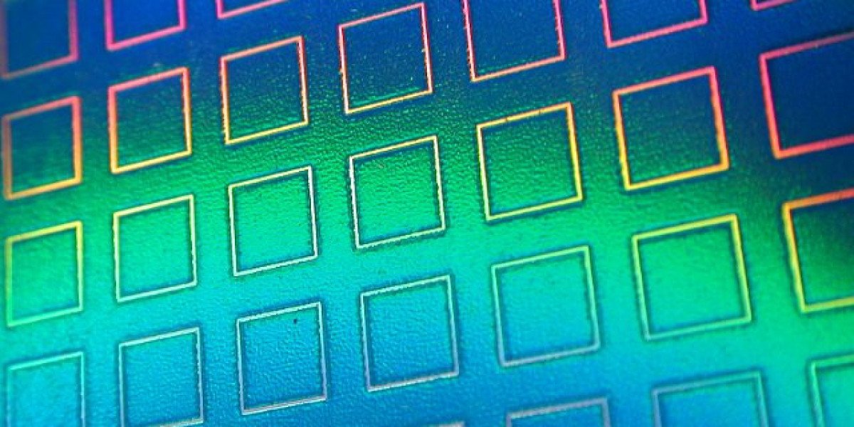 Wachstumshormon – Wirkungen und Regulierung