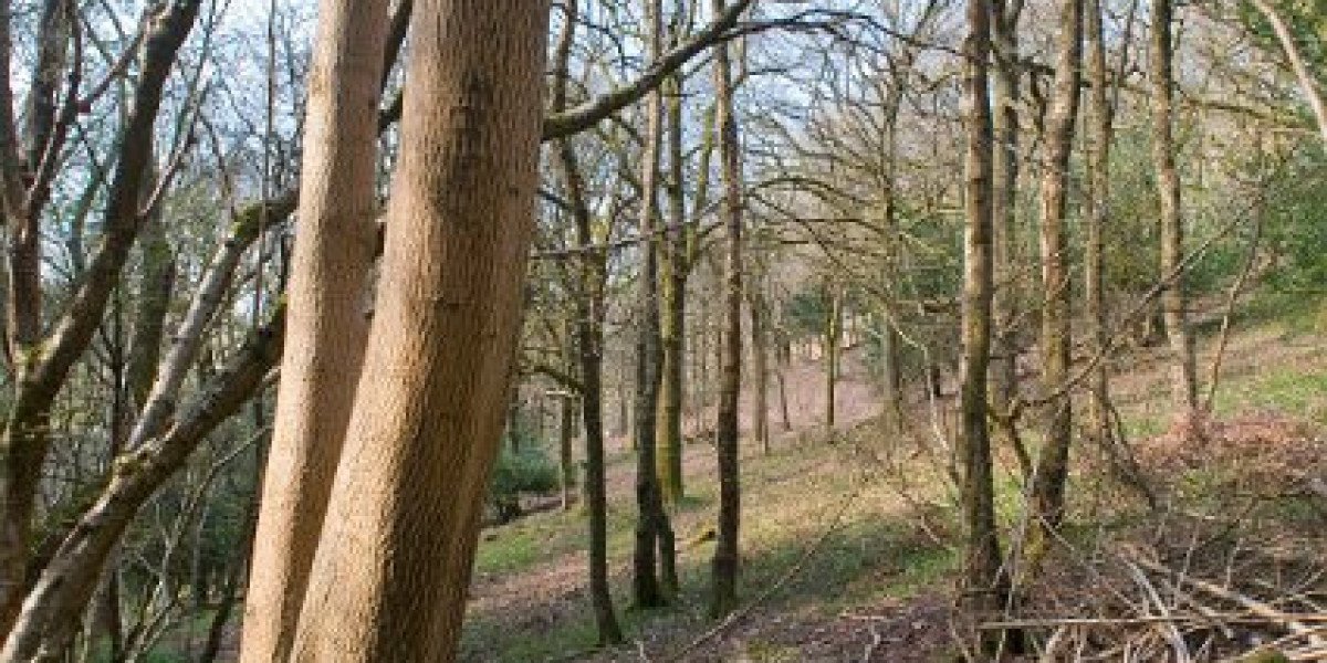 KPV: The Ultimate Guide You Must Read