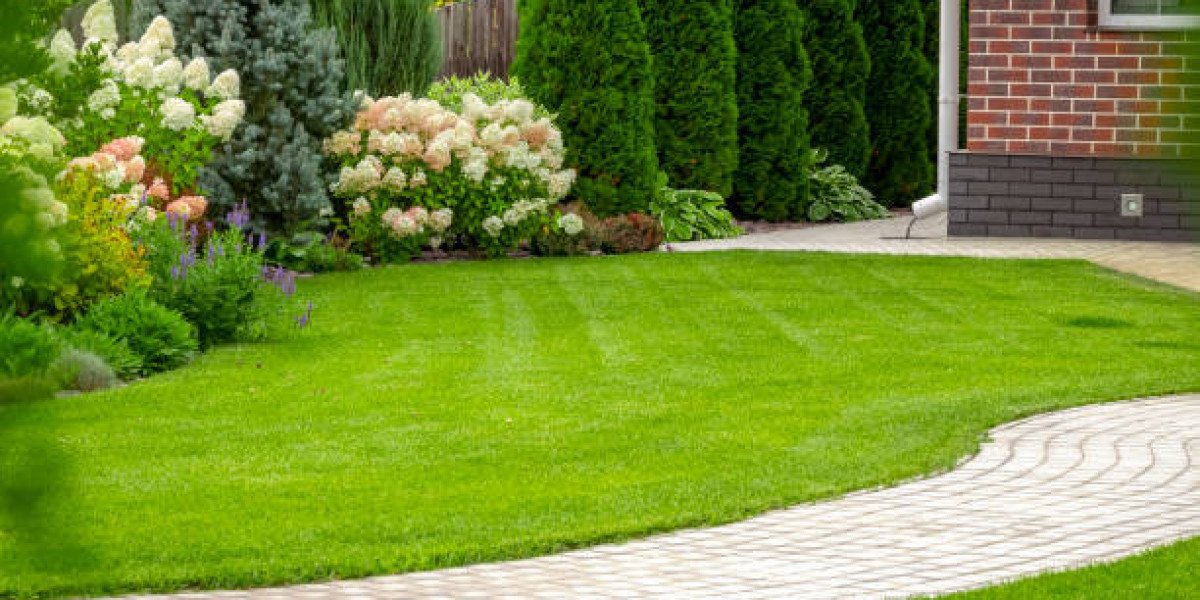 Green Gardening in Singapore A Complete Guide to Sustainable Practices