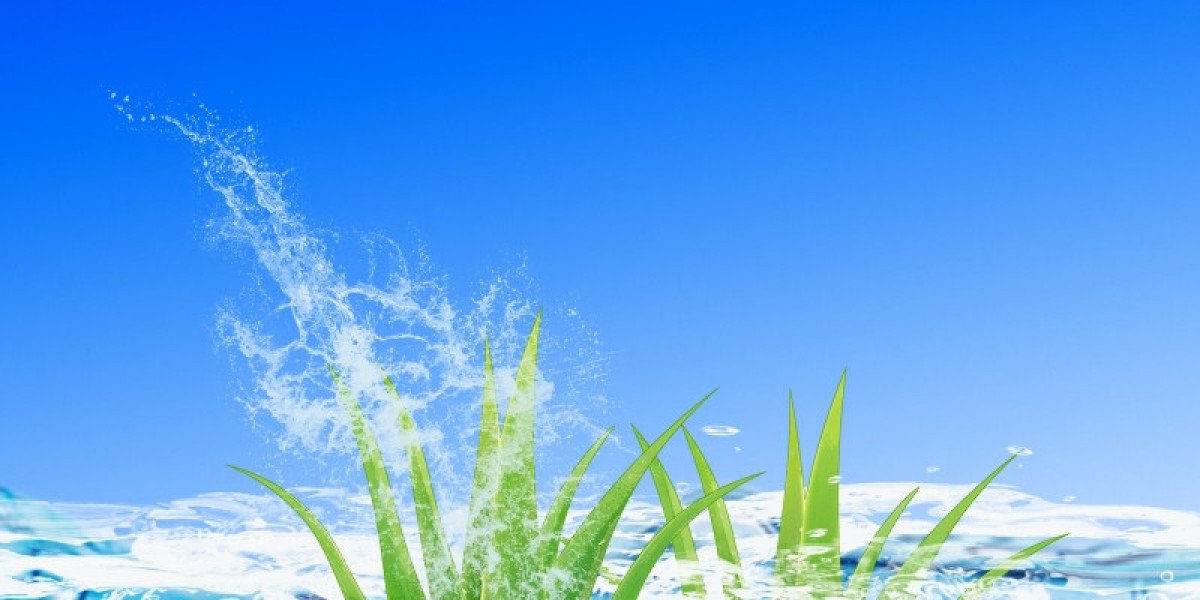 10 Things Everybody Hates About Online Driving Lesson Booking