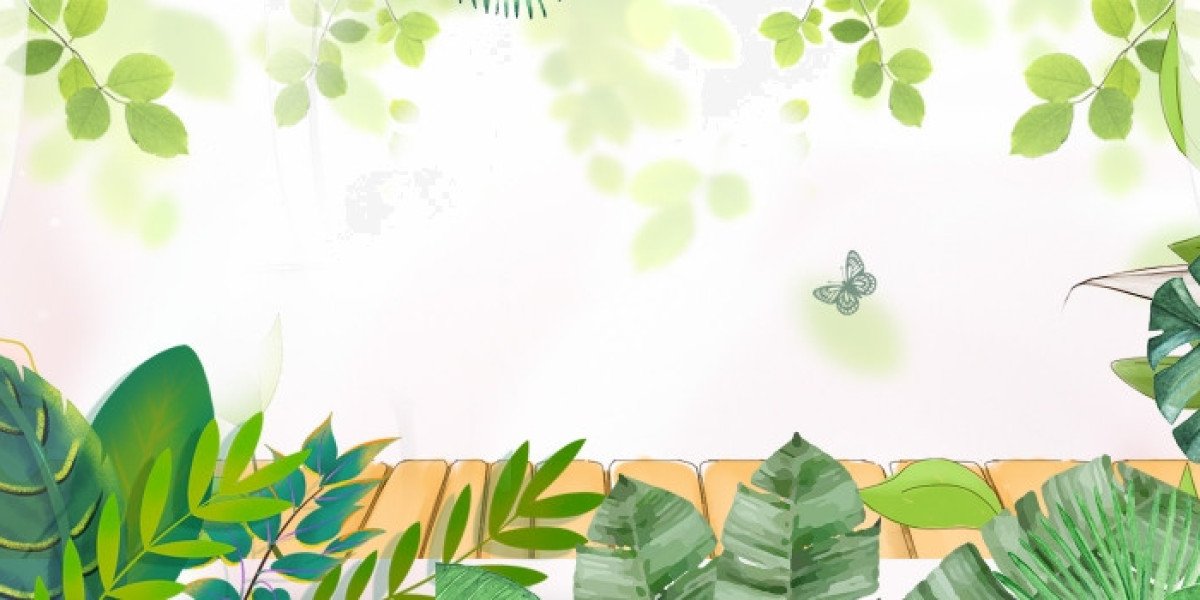 CBD-olje i Norge: Hva, hvorfor og hvordan  alt du br vite fr du prver