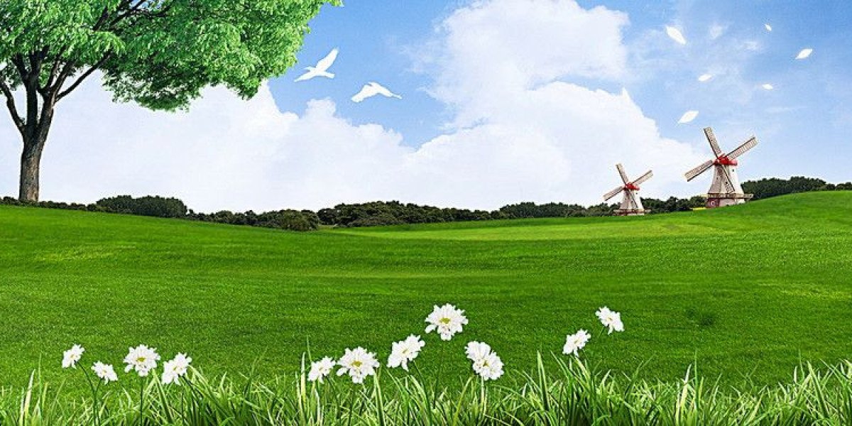 How To Choose The Right Authentic Goethe B1 Certificate On The Internet